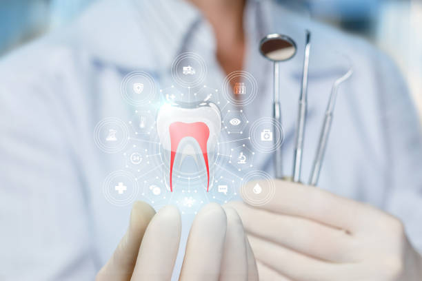 Best Dental Exams and Cleanings  in Mineral Point, WI